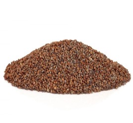 Perilla Seeds